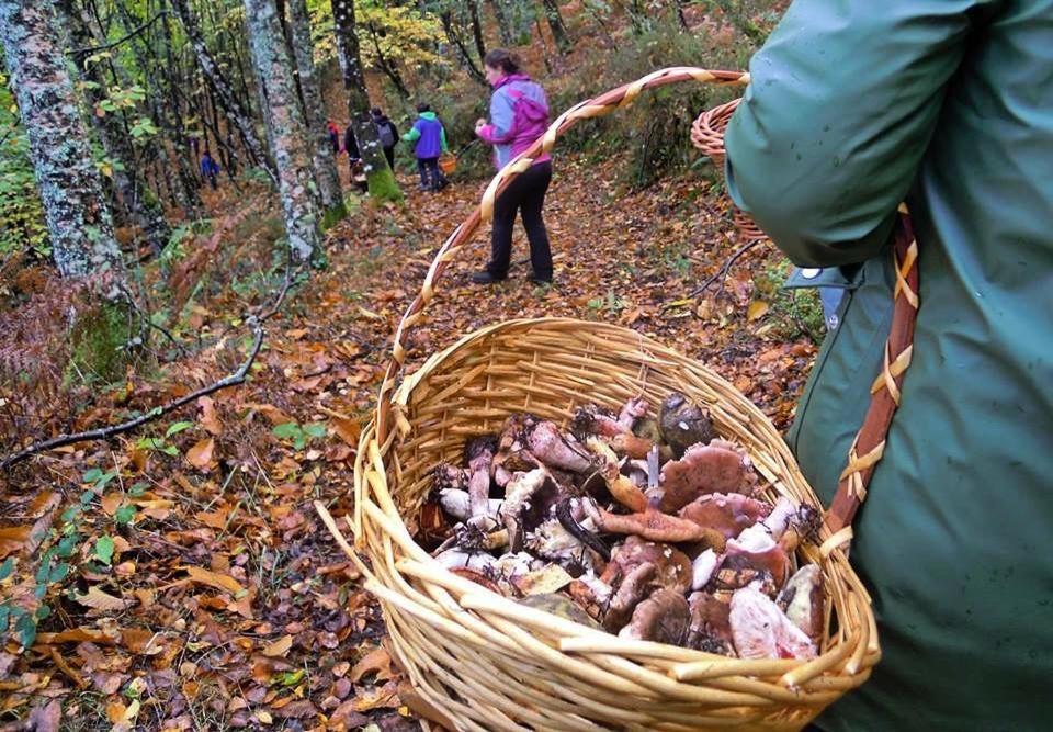 Pensjonat A Casoa Santa Eulalia de Oscos Zewnętrze zdjęcie